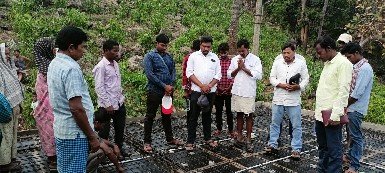 Assembly Halls Constuctions